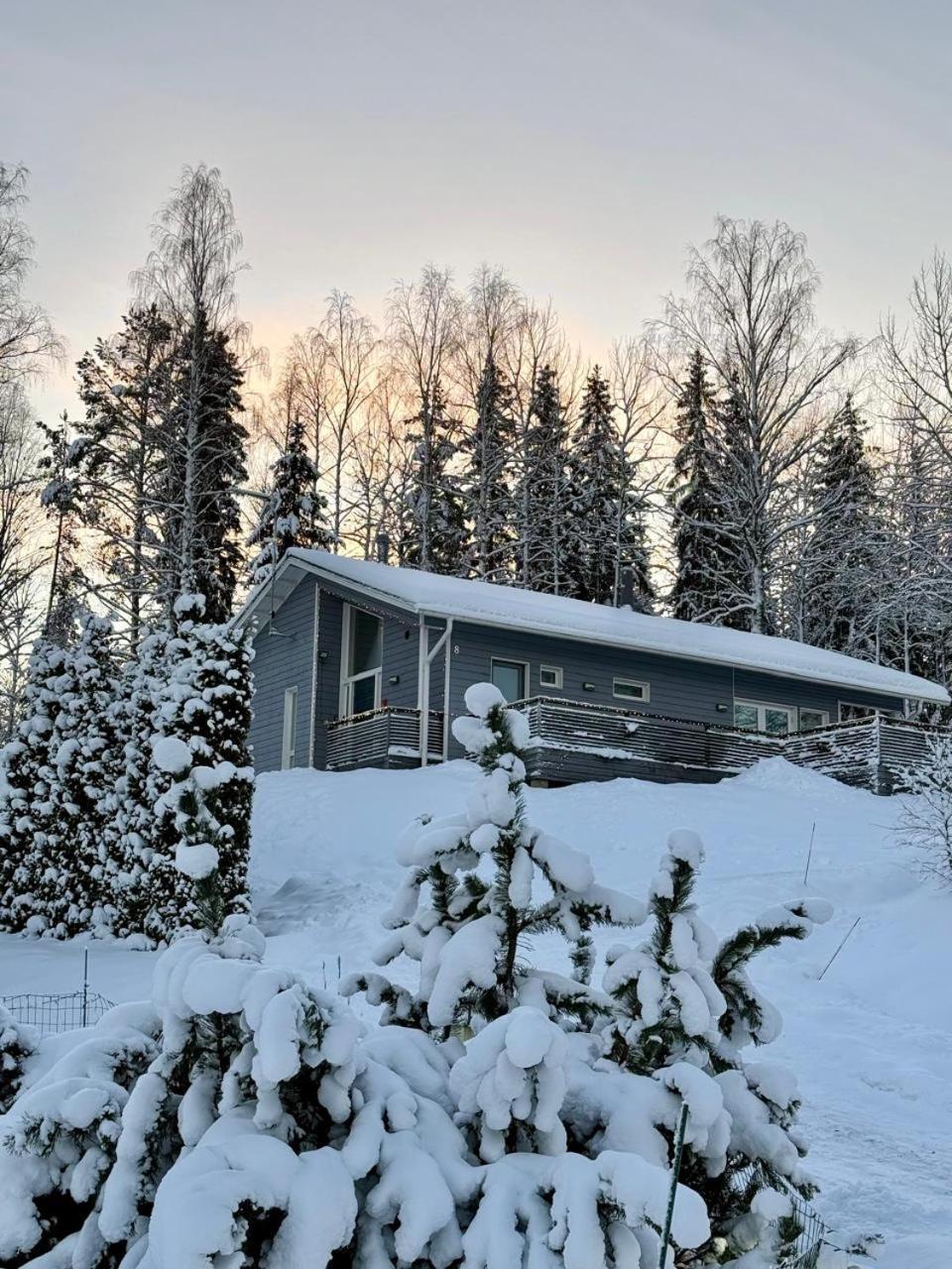 Villa Laidike With Sauna/Fireplace, 80 Km Helsinki Suomusjarvi Bagian luar foto